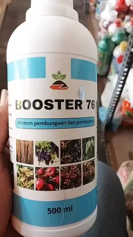 booster 76 hormon pertumbuhan dan pembungaan pada tanaman #tanaman #tanamanhias #pertanian #hormon #hormontumbuhan #pupuk #pupukorganik #pupukorganikcair #pertanian #booster #booster76 