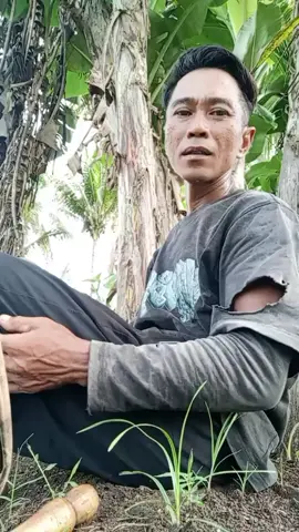 ngeneki nongkrong neng ngarep kantor pengadilan agama mening Paleng Yo🤭🤭🤭