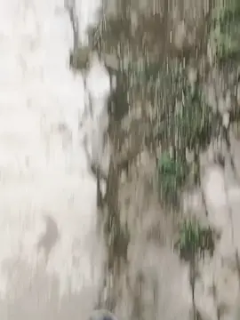 #beatmodifikasi #fyppppppppppppppppppppppp #lewatberanda #foryou #danapelajar #beatmberr #ngabproject #tubaba_lampung #masukberanda #CHALEZRY