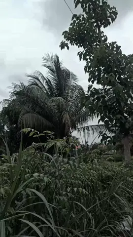 ora rapih ora ganteng #sigma #2tak #100cc 