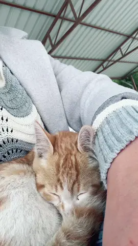 Bunun kalkacagi yok#fyp #keşfetteyizzz #kesfet #keşfet #😂😂😂😂😂 