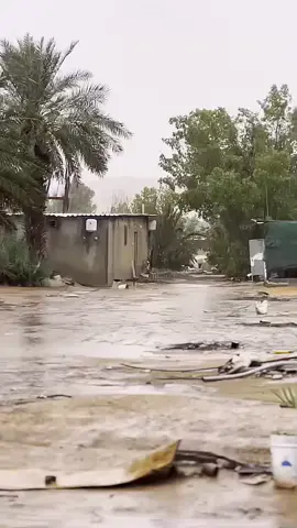 #الزلفي#المزرعة #امطار 