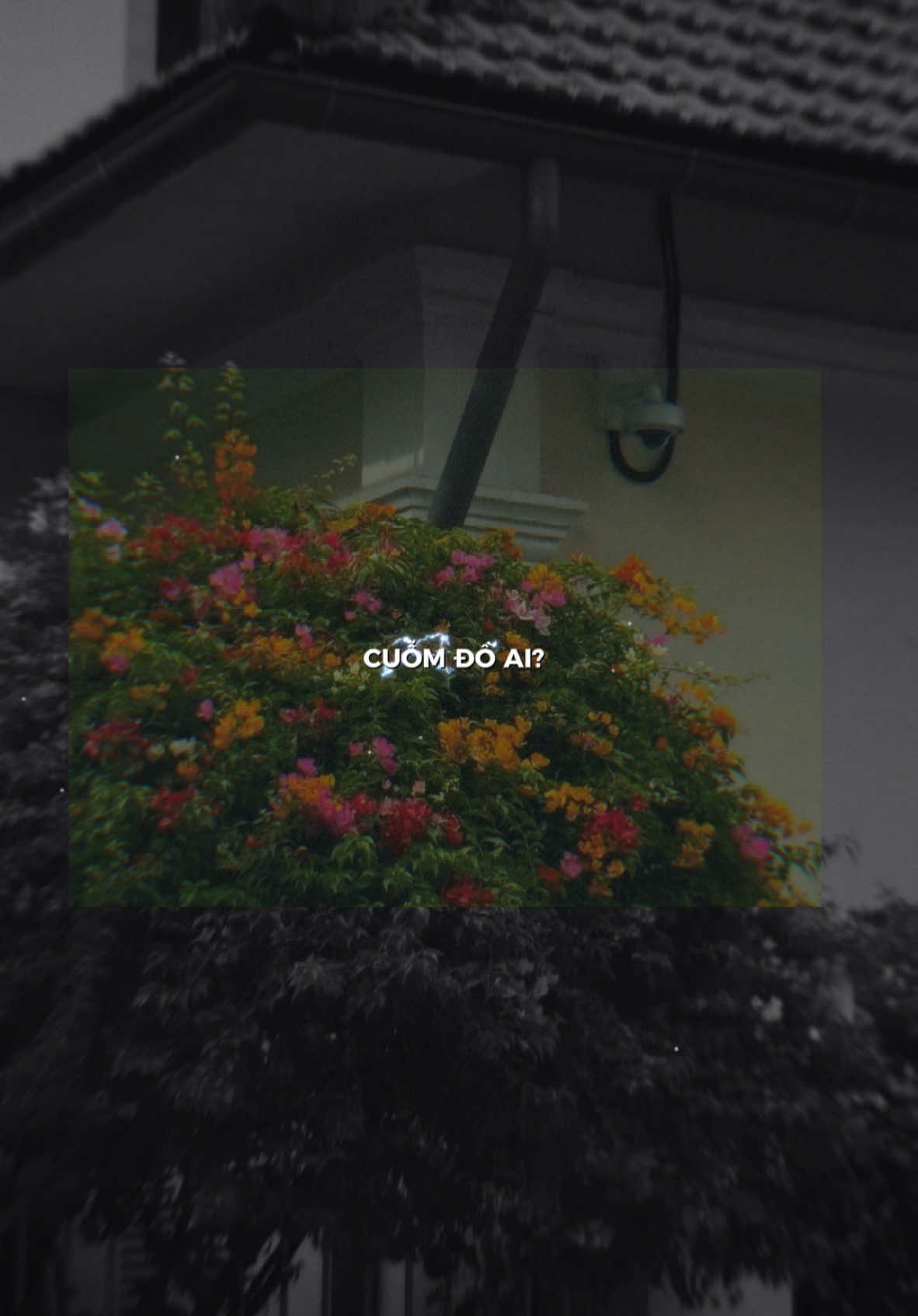 Bài nì hay ta… #taos_ig20 #lunyentertainment #daisucctt