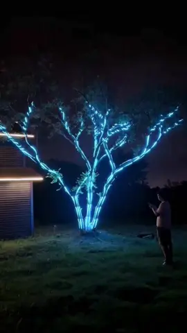 Đèn Dây Led RGB 16 Triệu Màu 10m #denledtrangtri #denchoitet #denledthongminh #dentet2025 #denled #denledngoaitroi #denledchoitet #den #