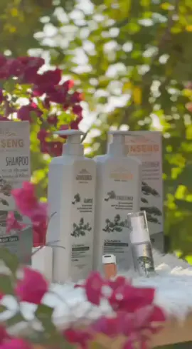 شامپۆ و موکەیڤی جیسینک  بۆ ئەوکەسانەی ئەیانەوێت لە دەست هەڵوەرین وبێ قوەتی قژ و فەراغاتی قژ و تۆشکە رزکاریان بێت ئێستا شامپو و موکەیڤی جیسینک باشترینە بەردەستە بۆ ئێوە ئازیز زەمانی %100 #fooryou #tiktokindia #iraq #kurdstan🇹🇯️ #erbil #karkuk #dhok #fyb #life #شامپۆ  #اکتیف_بن_اکتیف_سفڕە😕💔 #اکسبلور #الشعب_الصيني_ماله_حل😂😂 #hawler_slemani_dhok_karkuk_hallabja 