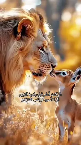 #fyp #fypシ #foryou #اكسبلورexplore #اكسبلور #عبدالمجيد #هزمتني_واقلقت_فيني_راحتي🖤 عندما تجتمع القوه والحنان في شخص واحد🥺💔