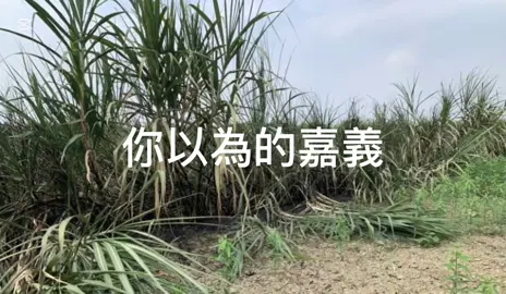 你以為的嘉義#嘉義 #都市傳說 #焦屍 #台灣啟示錄 #可怕😱 #台灣 #flypシ 