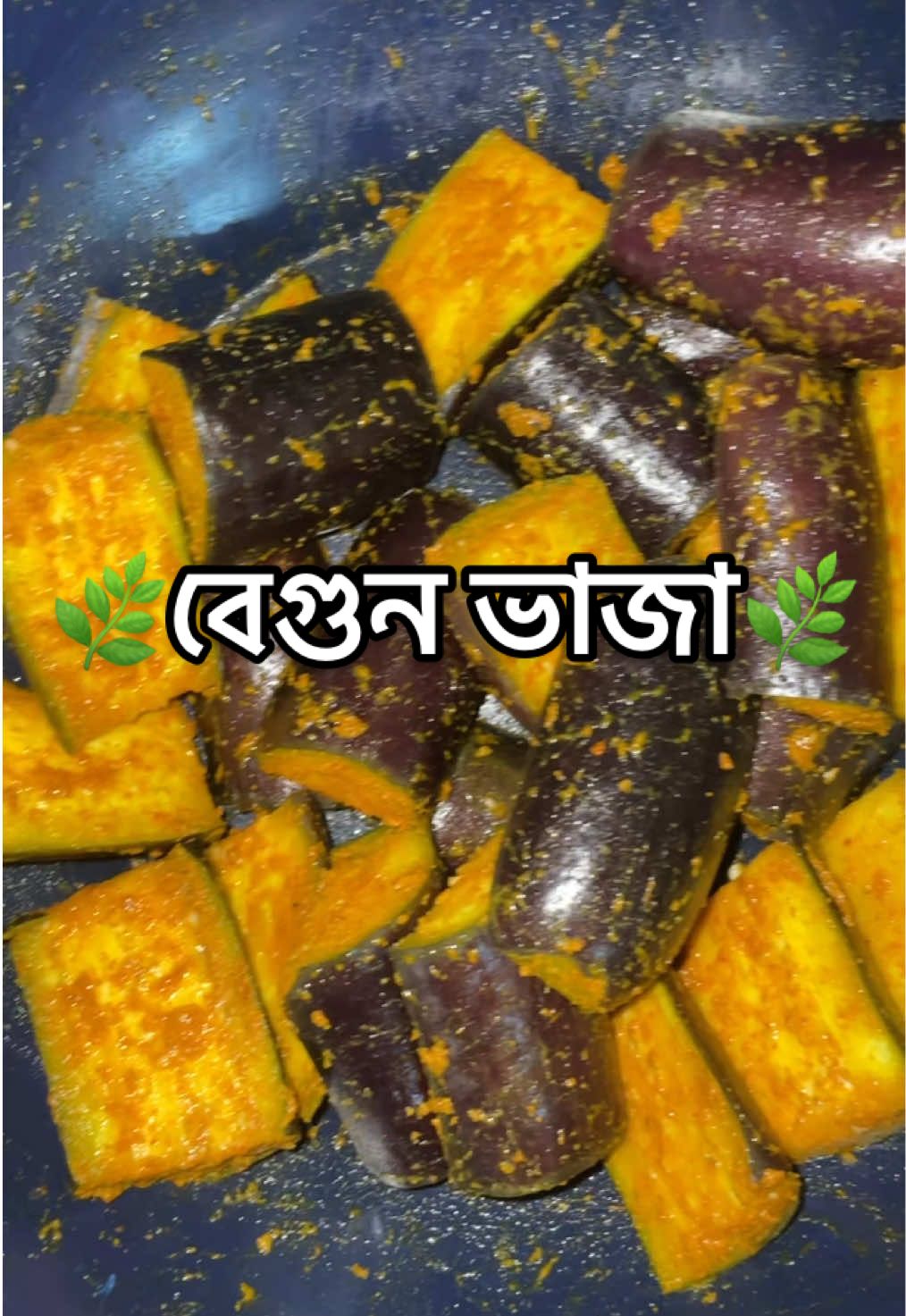 বেগুন ভাজা🌿 . . . . . . . . . . . . . . . . #bipashaskitchen #CapCut #recipes #cookingtiktok #cookingtips #cookingtip #bangladeshiranna #EasyRecipe #rannabanna #cook #রেসিপি #রান্না #রান্নাররেসিপি #সহজরেসিপি #begunvaja #begun #বেগুন #brinjal #brinjalfry #brinjalbhajiya #eggplant #eggplantrecipe #Recipe #tiktok #tiktokrecipe 