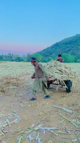 Kali Aman Meena Mazegar #foryou #foryoupage #viral #fyp #swabiwall #beauty_of_swabi 