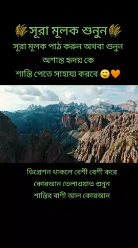 সূরা মূলক শুনুন শান্তির বাণী আল কোরআন 😊🧡#quran_alkarim #quranrecitation #viral_video #fypシ゚viral #foryoup #foryoupage #bdtiktokofficial @🌺🌺সোহাগী🌺🌺 @WALIULLAH🇧🇩 @🥀Sathi Akhter🥀 