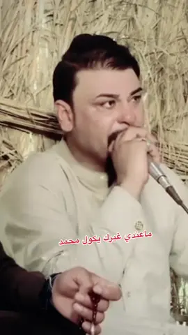 @الفنان محمد دواي #بسته_ريفيه #البصرة_الحبيبة #كعدات_طرب #مشاهير_تيك_توك_مشاهير_العرب #صعدو_الحساب_لايك_متابعه_واكسبلور_💔 