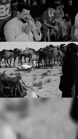 باجر ايشيل الضعن سلام الساعدي 2025 ضيم #كسبلور. كلمات شاعر كريم الجوراني 