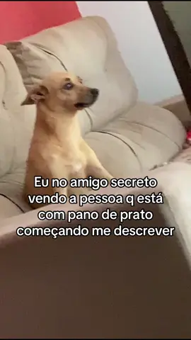 #frase #finaldeano #cachorro #engracado #amigosecreto 