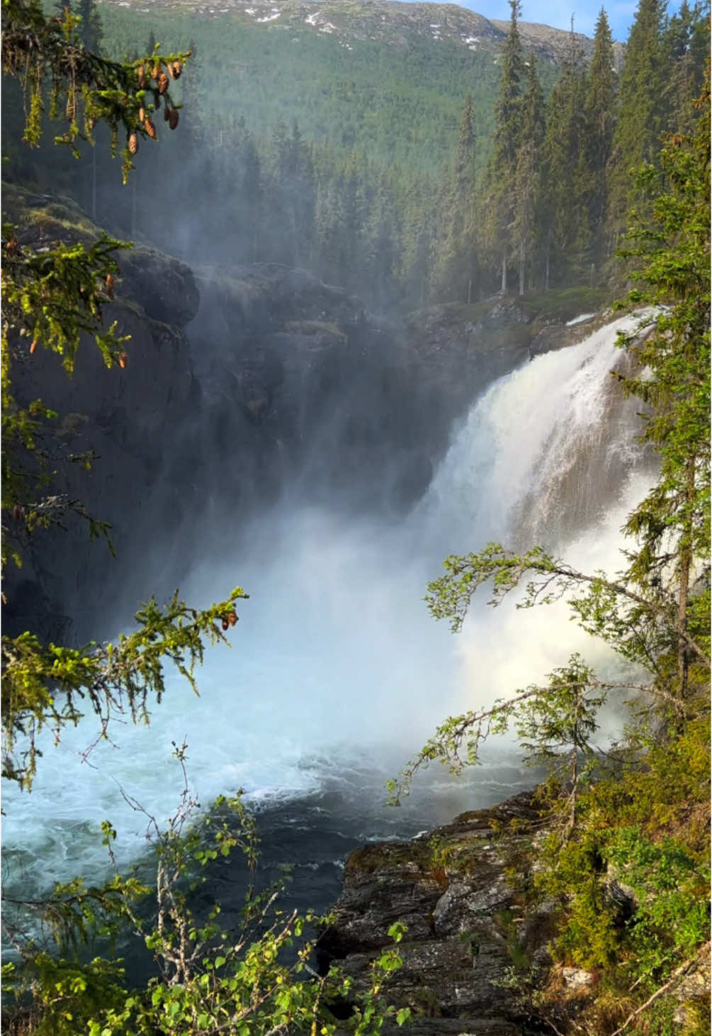 Norway is indeed renowned for its stunning waterfalls, which are a major feature of its natural landscape. The country’s dramatic fjords, deep valleys, and rugged terrain create ideal conditions for powerful waterfalls.  #waterfall #norway #mountains #norge #naturevibes #nature #positivevibes #foru #trees #river #waterfalls #natureza 