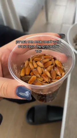 תבורכי מי שלא תיהי