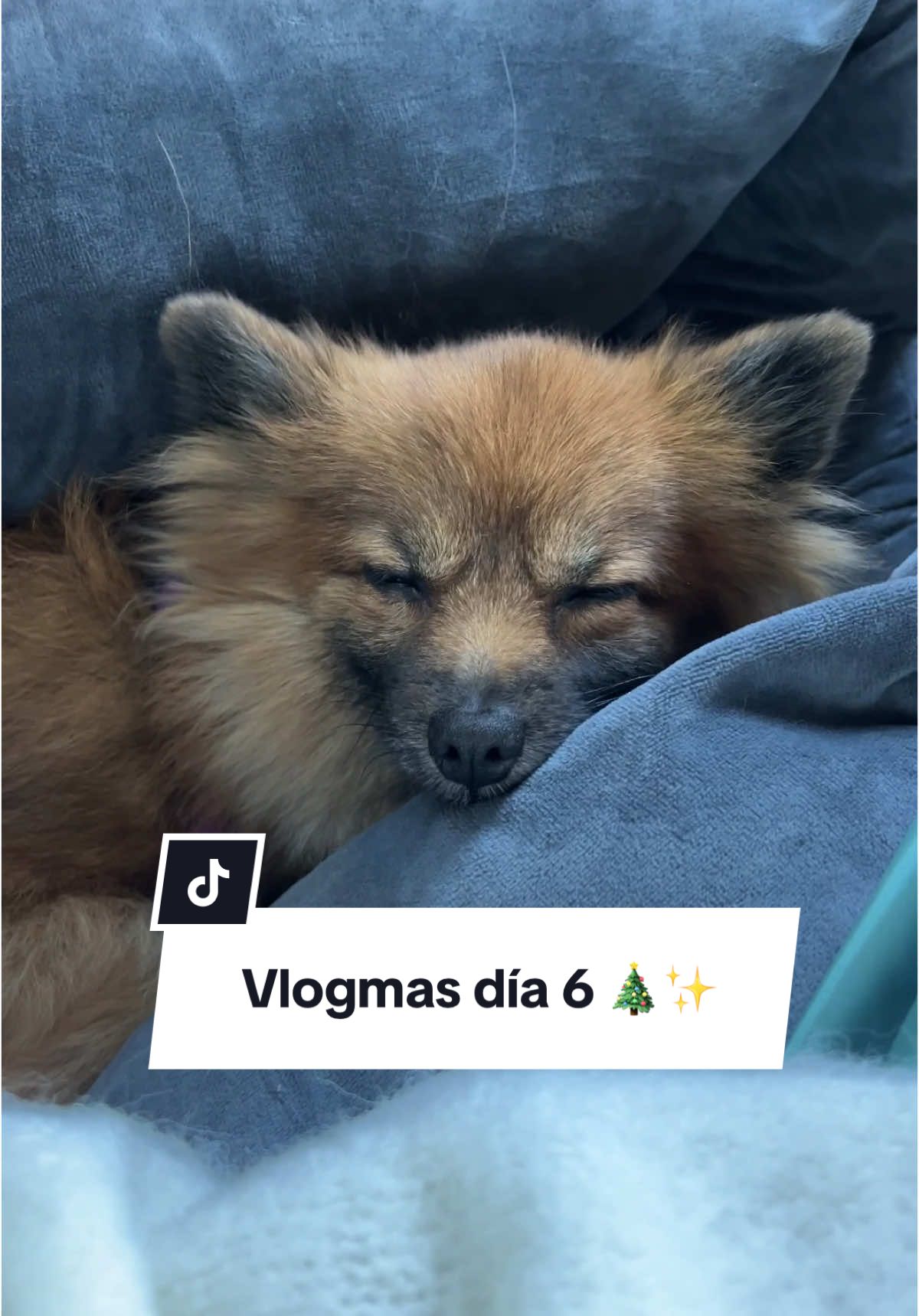 El viaje más express del puente de diciembre que hayas visto en tu vida 😂😂 a estas alturas del año yo ya me río por no llorar 🥲 bienvenidas a un nuevo vlogmas! #vlogmas2024  #vlogmas2024⛄🎄🎅 #Vlogmas #puentedediciembre 