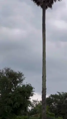 #วคสุราษฎร์ #20years 