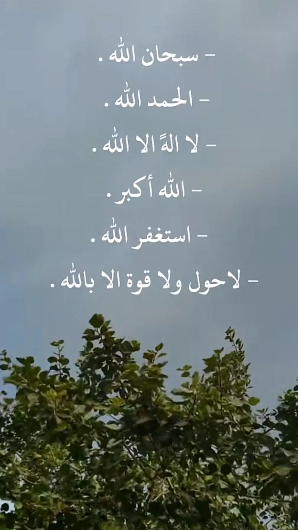 #سبحان_اللہ #alhamdulileh #الله_اكبر #لاله_الا_الله #لاحول_ولا_قوة_الا_بالله_العلي_العظيم #استغفر_الله_العظيم_واتوب_اليه #لاله_الا_انت_سبحانك_اني_من_الظالمين #ياحي_ياقيوم_برحمتك_استغيث #سبحان_الله_وبحمده_سبحان_الله_العظيم #اللهم_صل_وسلم_على_نبينا_محمد 