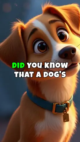 Decoding Your Dog's Tail Wag: Happy or Anxious?