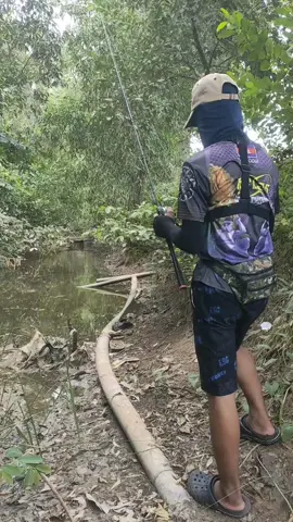 បបក់ត្រីជាមួយនុយជ័រ ខាំកាចណាស់🎣🤙#fishing🎣 #fyeシ #បបក់ត្រី #viral 