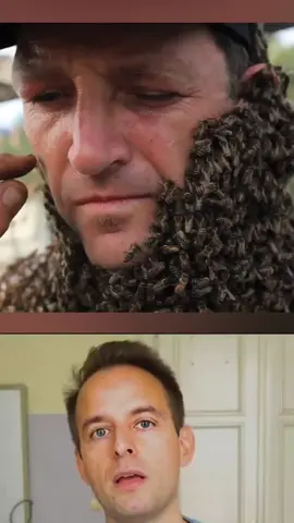Did You Know What is Bee Bearding #viralvideos #viral_video #videoviral #tiktok #trendingvideo #husaiclips #clips 