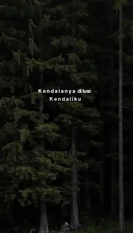 #storywa #whatsappstatus #katakata #tentangkata #perasaanku #perasaanhati 