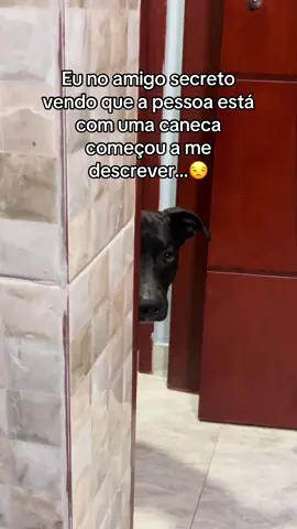 Não é possível 🗣️  #amigosecreto #natal #humor #vaiprofycaramba #paravoce #cachorrosengraçados #PetsOfTikTok 