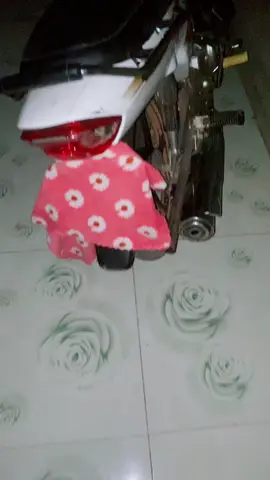 ណាគេធើអីធើទៅ សំខាន់ញុមកែខ្លួនហើយ🫶🫶 ដាវទុកចោលឡើងច្រេះអស់🤝#fypシ #❤️ 