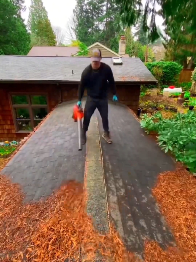 So satisfying #garden #landscaping #yardwork #satisfyningvideos #hedges #lawncare 