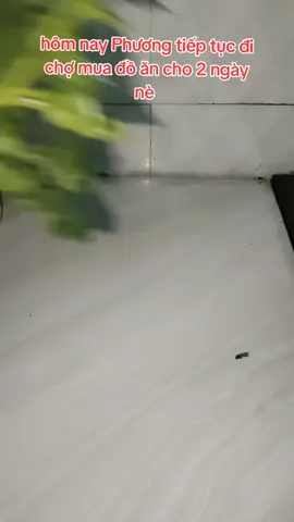 2 người lớn 2 e nhỏ nấu ăn 2 buổi 100k ít hay nhiều vậy mấy bà #truyencamhung #vloghangngay #xuhuong #trucphuong #nauancungtiktok 