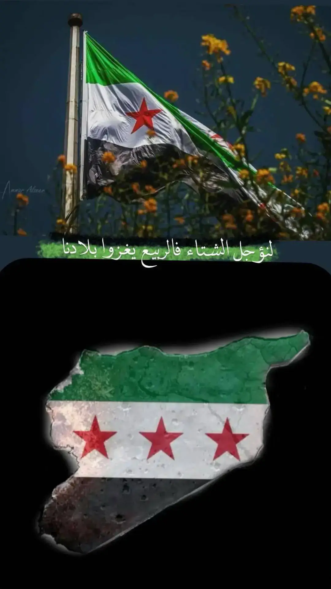 #تعلى_وتتعمر_يا_دار #🖤🤍💚 