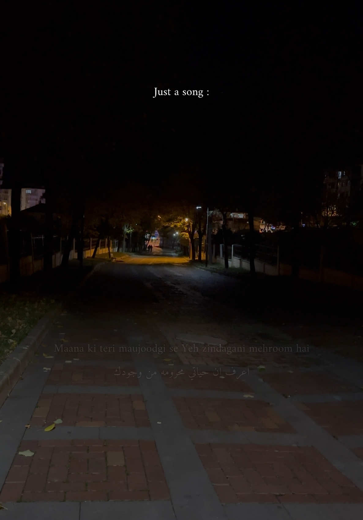 Ae Dil Hai Mushkil ..  #اكسبلور #sharukhkhan #bollywood #explore #fyp #fypシ #foryou #اغاني_هندية #arjitsingh #aedilhaimushkil #ranbirkapoor #anushkasharma 