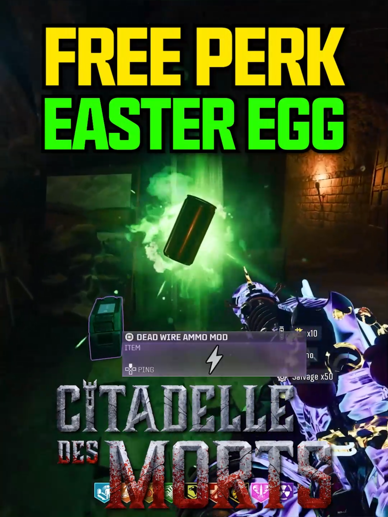 FREE Perk, Ray Gun & PAP Easter Egg on Citadelle Des Morts! (Black Ops 6 Zombies) #bo6zombies #blackops6zombies #codzombies #zombies #callofdutyzombies #callofduty #codbo6 #blackops6 #bo6 #callofdutyblackops6 #citadelledesmorts #bo6zombiesdlc1 #bo6season1 #gaming
