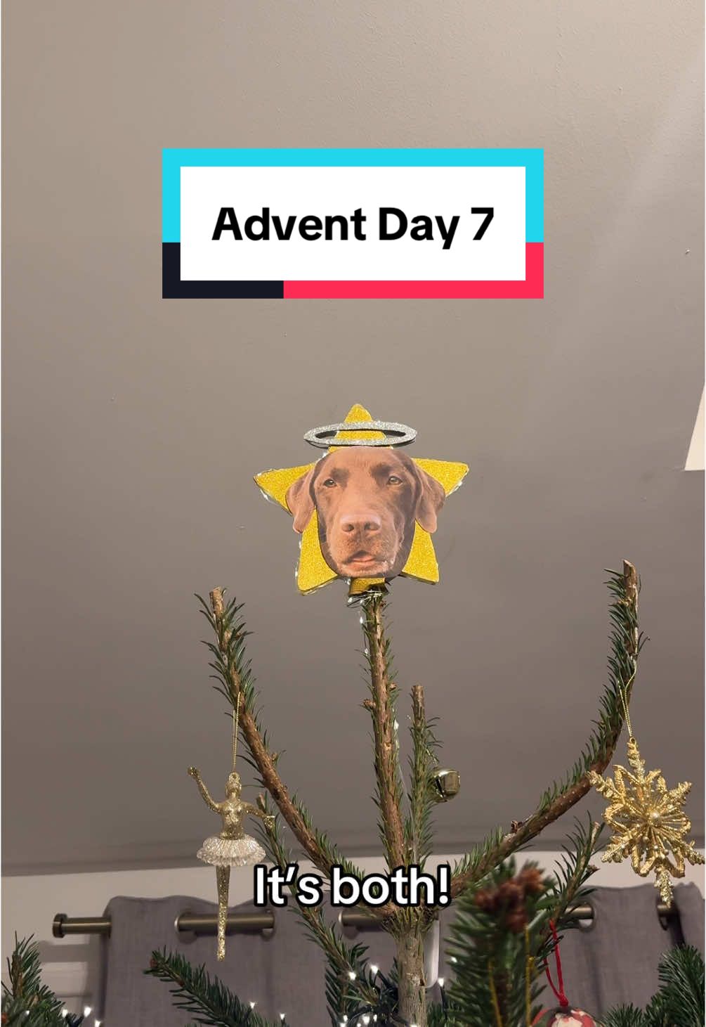 Ollie is so gentle 🥹 Tato… has beef with Santa 😂