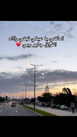 #morocco🇲🇦 #foryoupage❤️❤️ #harhoura #morocco🇲🇦المغاربة #viral #yfpシ #CapCut 