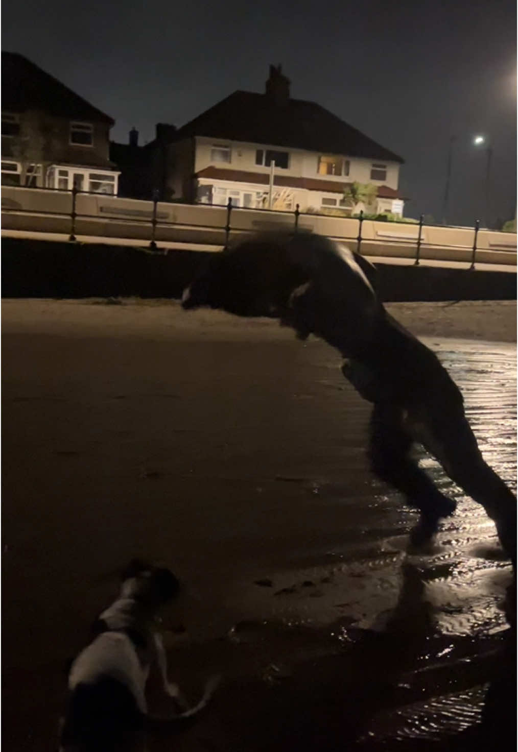 Blowing a hooley 🌪️#stormdarragh #fyp #wirral #westkirbybeach #galeforcewind #blowingahurricane #stormy #MJ #michaeljackson #earthsong@Craigo19 