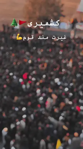 نہ جھکنے والے  نہ ڈرنے والے🚩🌲 ۔۔۔۔۔۔۔۔۔۔۔۔۔؟ #kashmir #kashmirgroup #muzaffarabad #protestkashmir #viral #کشمیر  @کشمیریت 🍁 
