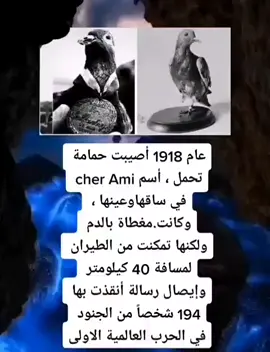 #ستوريات #🙂 