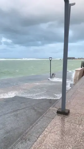 #طرابلس #كورنيش_حي_الاندلس #الشعب_الصيني_ماله_حل😂😂😂 #explore #fyp #ليبيا 