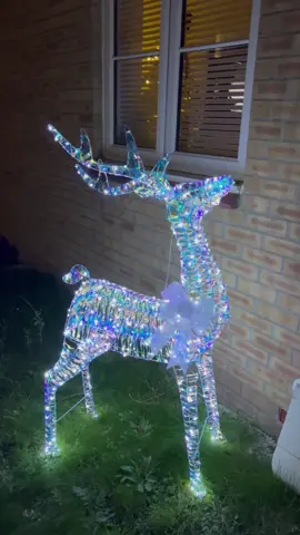 Shame he is a bit wind swept at the moment😂✨🤍  #willandjordsfirsthome #christmasreindeer #christmasoutdoordecorations #outdoorchristmasdecor #christmasdecorations #homebargainschristmas 