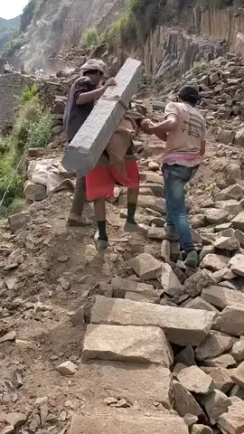 شاهد نقل احجار البناء سور ريمه #