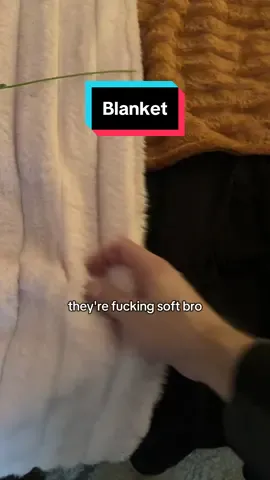 Cant even blame bro for getting 2 😳 #blanket #blankets #blanketlife #cozyblanket #softblanket #tiktokshop #tiktokshopblackfriday 