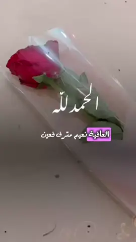 اللهم لك الحمد دائما وابدا🤍🌿..#اكسبلوررر 