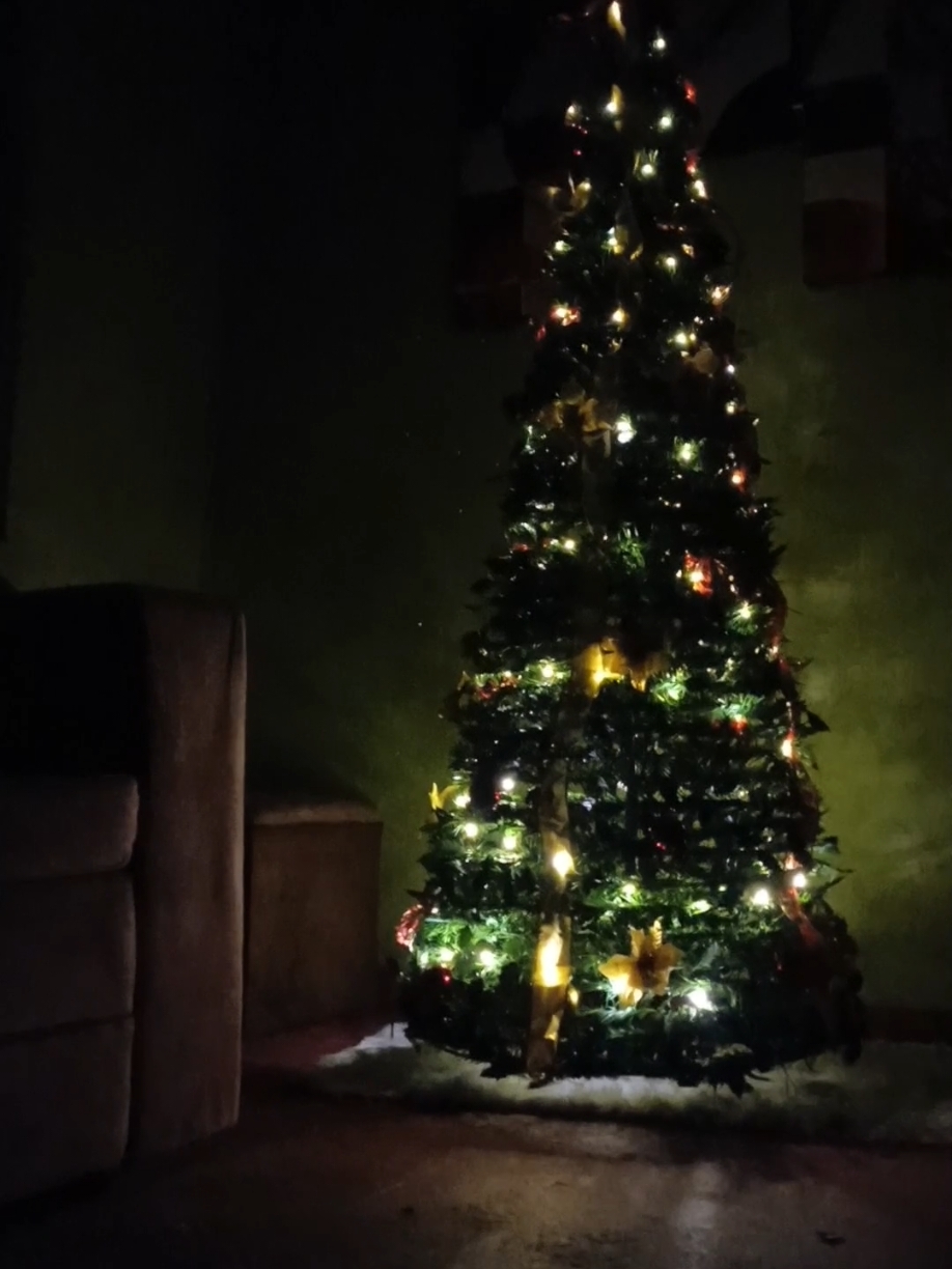 #navidad #plegable #arbolitodenavidad🌲 #novedades #bolivia🇧🇴 #fyp #curiosidades #parati #arbolplegable 
