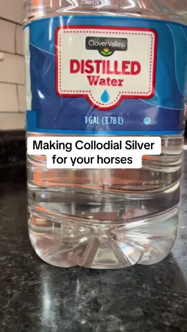 How to make Collodial Silver at home  #horsesoftiktok #horsegirlvibes #homeremedy #collodialsilver 