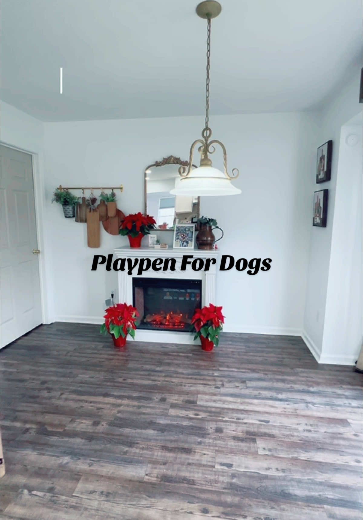 Setting up a playpen for my dogs #anyaskpet  #playpen #happydogs #fy  #fypシ゚viral  #videoviral 