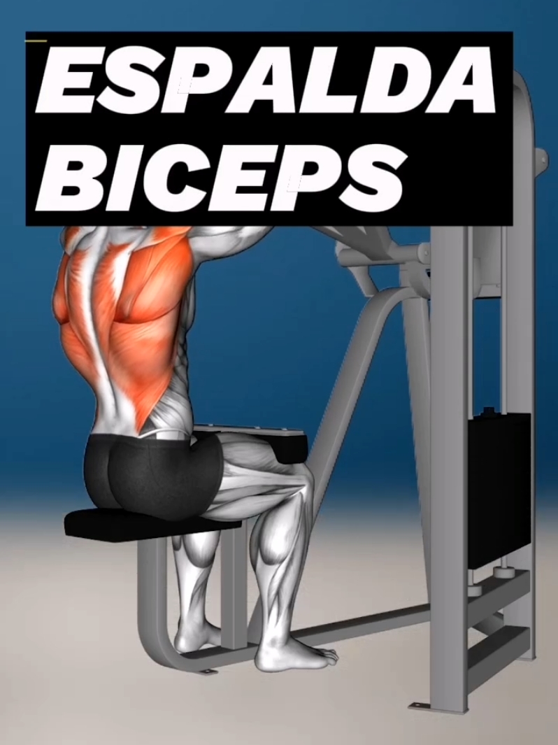 💥Ejercicios para Espalda y Biceps!! 💥 Videos Fitness 3D!!💥🏋️ #musculacion #biomecanica #Fitness #entrenamientos #personaltrainer #entrenadores #videosfitness #fitness3d #entrenadorpersonal #fitnessgym #negociofitness #fitnessonline