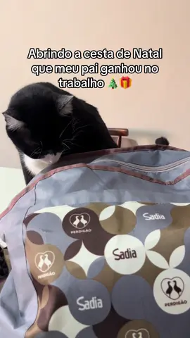 Não sei se gostei gente