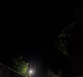 Test 4i liễu nổ #phaohoatet #tet2025 #hoatroi #pháobông 