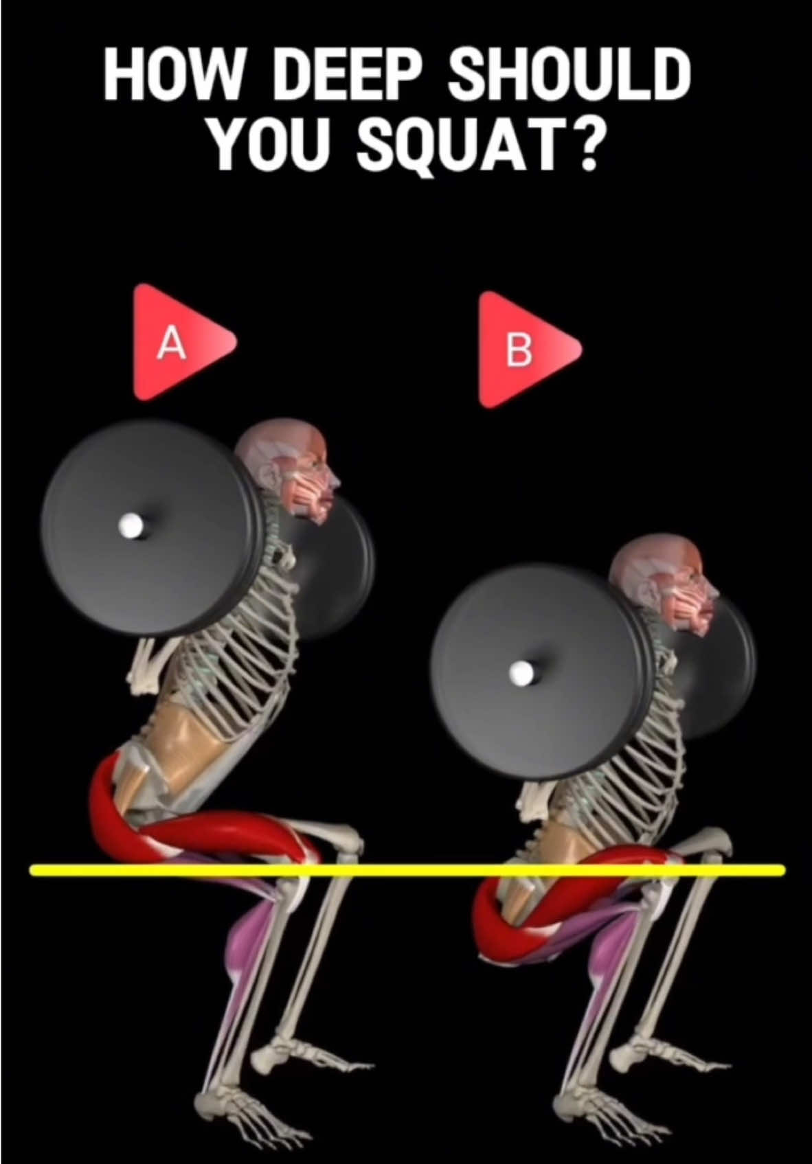 How deep should you squat? @Muscle and Motion #powerlifting #gym #weightlifting 